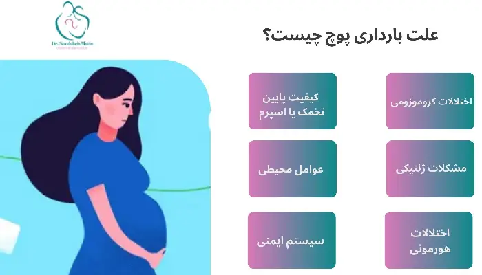 بارداری پوچ