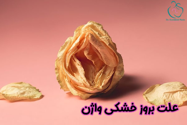 علت بروز خشکی واژن
