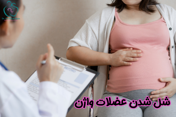 شل شدن عضلات واژن